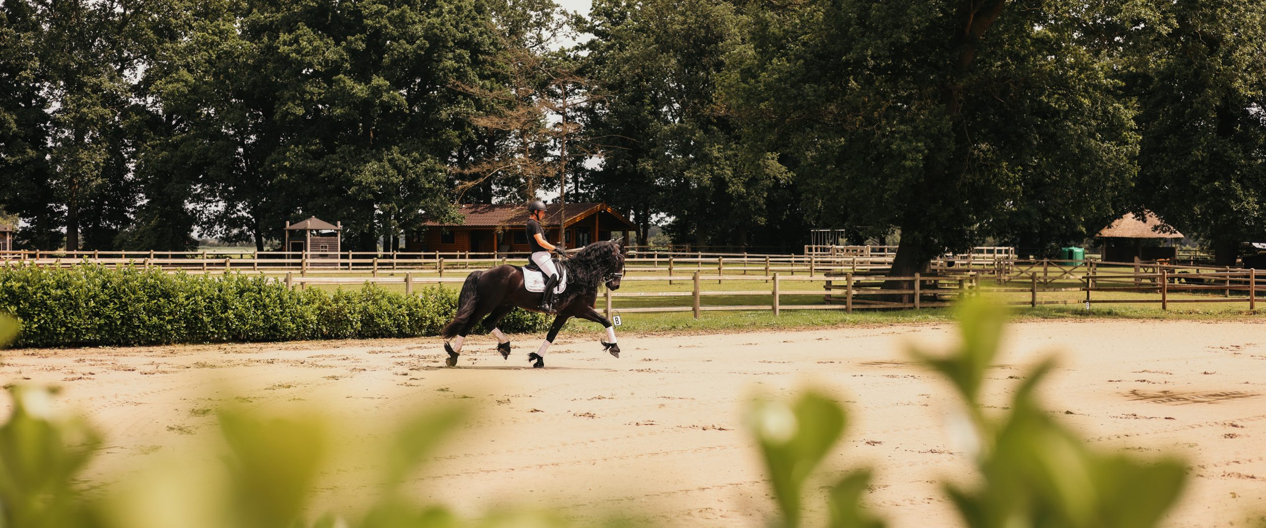 Een ruiter in wedstrijdkleding rijdt op een zwarte dressuurpaard in een omheinde buitenrijbaan, omgeven door groen en houten hekwerk, met een houten blokhut op de achtergrond.