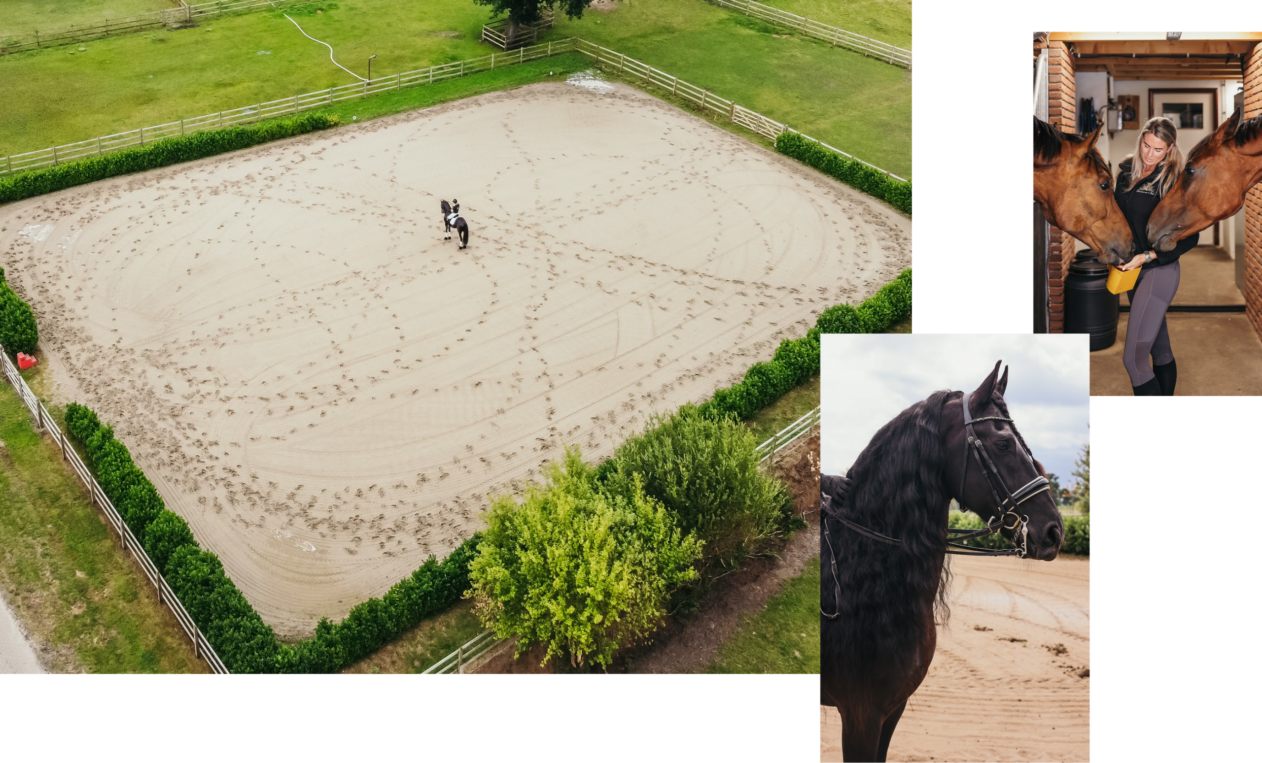 sfeerfotohome Combinatie van drie foto’s: een luchtfoto van een grote buitenrijbaan met een ruiter op een zwart paard, een close-up van een zwart paard met lange manen en hoofdstel op een zandpiste, en een vrouw die twee bruine paarden voert in een stalgang.